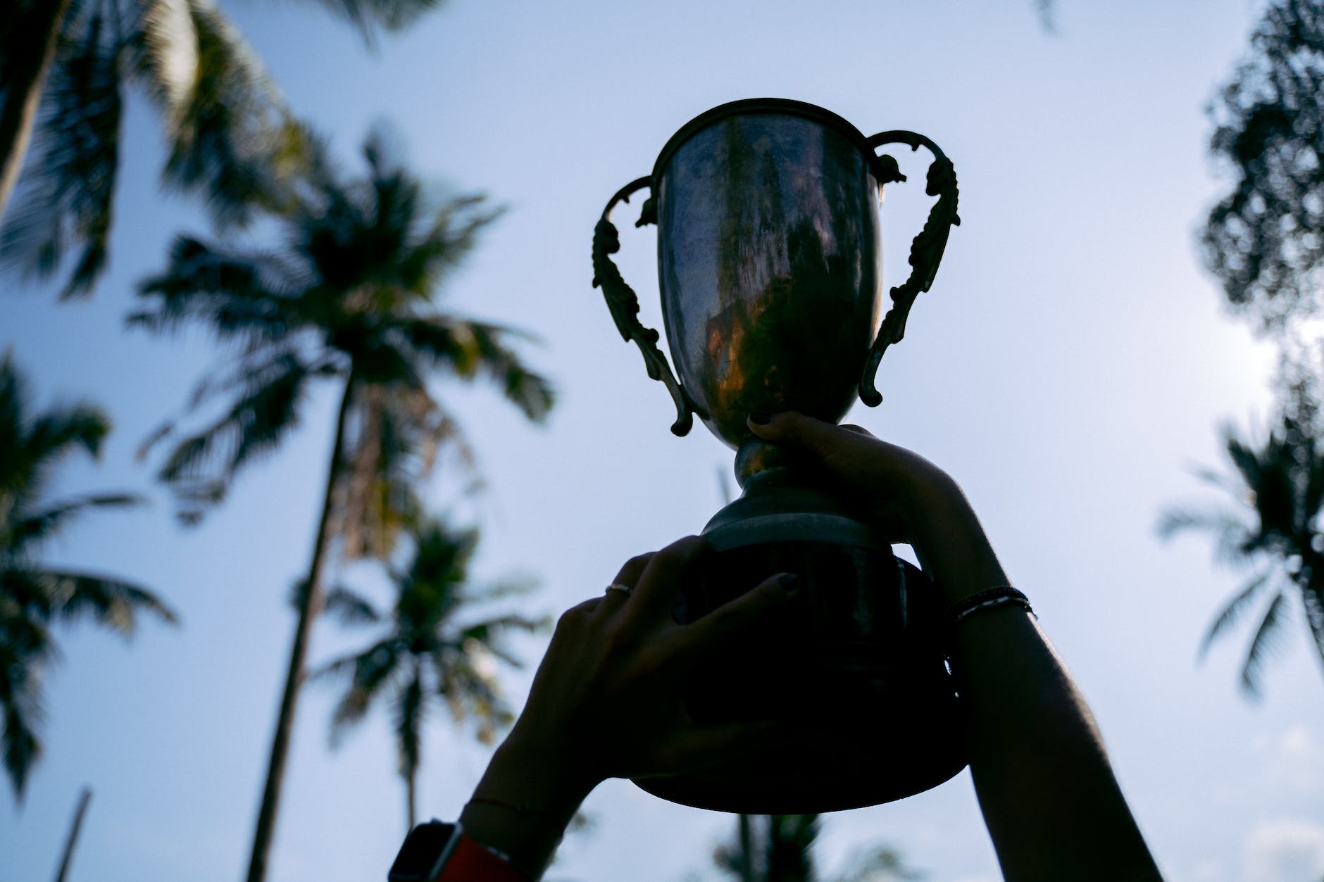 a person holding a trophy